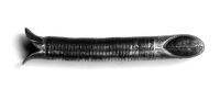 view M0012542: Tube designed by Sir William Macewen, top view