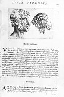 view M0011045: Porta: <i>De humana physiognomonia</i>, 1586: page 113