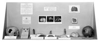 view M0011842: Photograph of a display case showing different methods of trephination for the exhibition Prehistoric Man in Health and Sickness held at the Wellcome Historical Medical Museum, London, in 1951