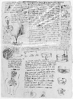 view M0011572: Illustrations from Leonardo da Vinci: <i>Quaderni d'anatomia</i>