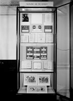 view M0012443: Wellcome Historical Medical Museum exhibition: "British medicine and the Continent, 1600-1850": section XIX