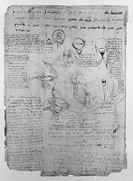 view M0011580: Illustrations from Leonardo da Vinci: <i>Quaderni d'anatomia</i>