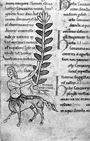 view M0011875EA/M0011875EB/M0011875EC: Reproduction of the detail of three illustrations from Medical miscellany of a pharmacopeial compilation, including a herbal and bestiary illustrating the pharmocopeial properties of animals, also known as MS Harley 1585