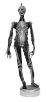 view M0012209: Italian anatomical figure in wax showing lateral view of head and neck muscles, 18th century