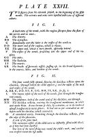 view M0012152: Reproduction of the description of Plate XXVII from William Hunter's Anatomia uteri humani gravidi tabulis illustrata ... The anatomy of the human gravid uteris exhibited in figures, 1774
