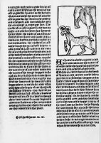 view M0012012: Reproduction of a page with a woodcut illustration of rams from Laurence Andrew's The noble lyfe & natures of man, of bestes, serpentys, fowles & fisshes yt be moste knowen, 1521?