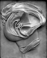 view M0012190EA: Photograph of a wax plaque showing the female anatomy, in particular the genital organs