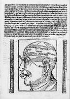 view M0012008: Reproduction of a woodcut illustration of a head from Laurence Andrew's The noble lyfe & natures of man, of bestes, serpentys, fowles & fisshes yt be moste knowen, 1521?