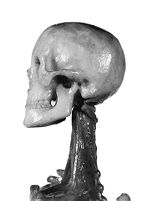 view M0012196EA: Photograph of a female anatomical wax model, close up of the torso from above with a layer removed to reveal the heart and uterus