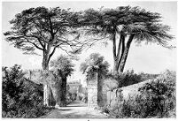 view M0013590: View of the Physic Garden looking north in the Society of Apothecaries of London.
