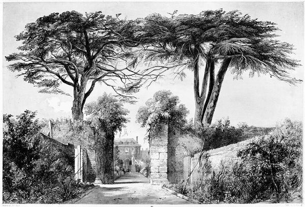 M0013590: View of the Physic Garden looking north in the Society of Apothecaries of London.