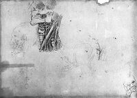view M0013882: The neck, from Leonardo da Vinci: <i>Quaderni d'anatomia</i>