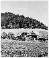 view M0013567: A Bernese Stöckli