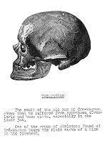 view M0013577: Skull of the Old Man of Cro-Magnon