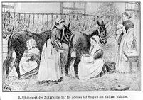 view M0013658: Illustration depicting children feeding direct from a donkey