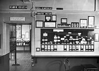 view M0013068: View of galleries at the Wellcome Museum of Medical Science, c.1939