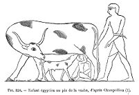 view M0013650: Illustration of a boy and calf suckling from a cow.