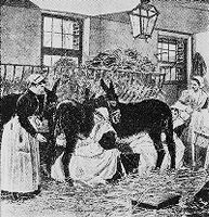 view M0013616: Illustration of a scene in a stable showing Parrot's method of feeding syphilitic children