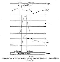 view M0014432: Pulse traces, simultaneous recordings