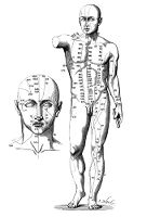 view M0014704: Illustration of a human figure showing points for application of acupuncture needles