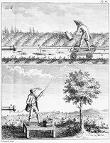 view M0014519: Two illustrations showing the effect of electricity on the growth of plants