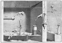 view M0014497: Galvani's experiments