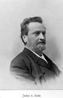 view M0014817: Portrait of Julius von Sachs (1832-1897)