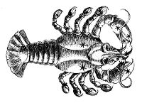 view M0014463: Cancer the crab