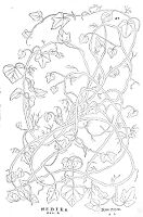 view M0015407: Illustration of ivy, Fuchs, 1542