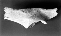view M0015281: Two views of improvised bone implements, Upper Paleolithic