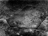 view M0015088: Grave-slab from cist burial at Ednam, Scotland, 1928