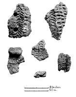 view M0015360: Six sherds of ornamented Neolithic B ware from Iver, Buckinghamshire