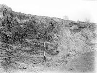 view M0014928: Pleistocene deposits of the Thames valley: section in Cooper's pit, upper Boyn Hill Terrace