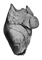 view M0015044: Female torso sculpted in ivory, Upper Palaeolithic period