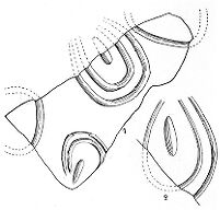 view M0015098: Illustration of female sexual organs incised on pieces of limestone, Upper Palaeolithic period