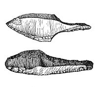 view M0015129: Illustration showing the evolution of the  Aurignacian hollowed blade and Upper Aurignacian tanged point