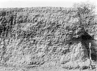 view M0014918: Pleistocene deposits of the Thames valley: section worked in Iver Terrace