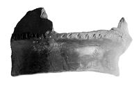 view M0015053: Fragment of Iron Age pottery found at Lent Rise, Burnham, Buckinghamshire