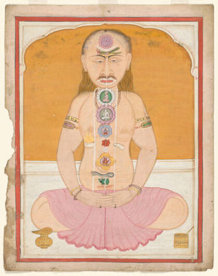 MS Hindi (Indic) beta 511 book cover