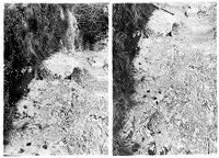 view M0015772: Water supply basin cut into rock at Les Eyzies-de-Tayac, Dordogne, France
