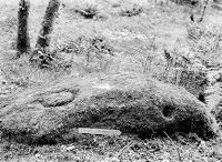view M0015459: Cup and ring markings on a rock, Luss
