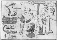 view M0015622: Bandages, from Bertrandi: <i>Opere</i>, 1786
