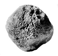 view M0015477: Neolithic flint pounder found at Iver, Buckinghamshire