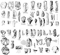 view M0015747: Stone artifacts from La Grotte des Fees, Chatelperron