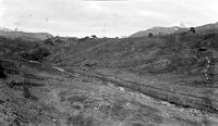view M0015464: View in Glanfalloch showing Scots firs and relics of the deglaciation, 1927