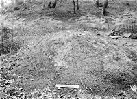 view M0015468: Sculpted rock in a wood at Luss, Scotland, probably Bronze Age