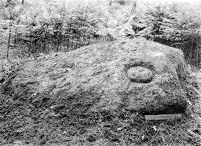 view M0016023: Prehistoric sculpted rock at Shegarton, Luss, Dunbartonshire: seen from south-west