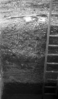 view M0015977: Section in bore-hole showing Mesolithic implementiferous bed