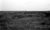 view M0015984: View of ploughed area, Pickering Moor, site of flint workshop, September 1956