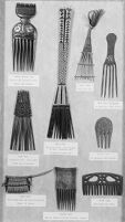 view M0016055: Wellcome Historical Medical Museum display of nine combs from various parts of the world